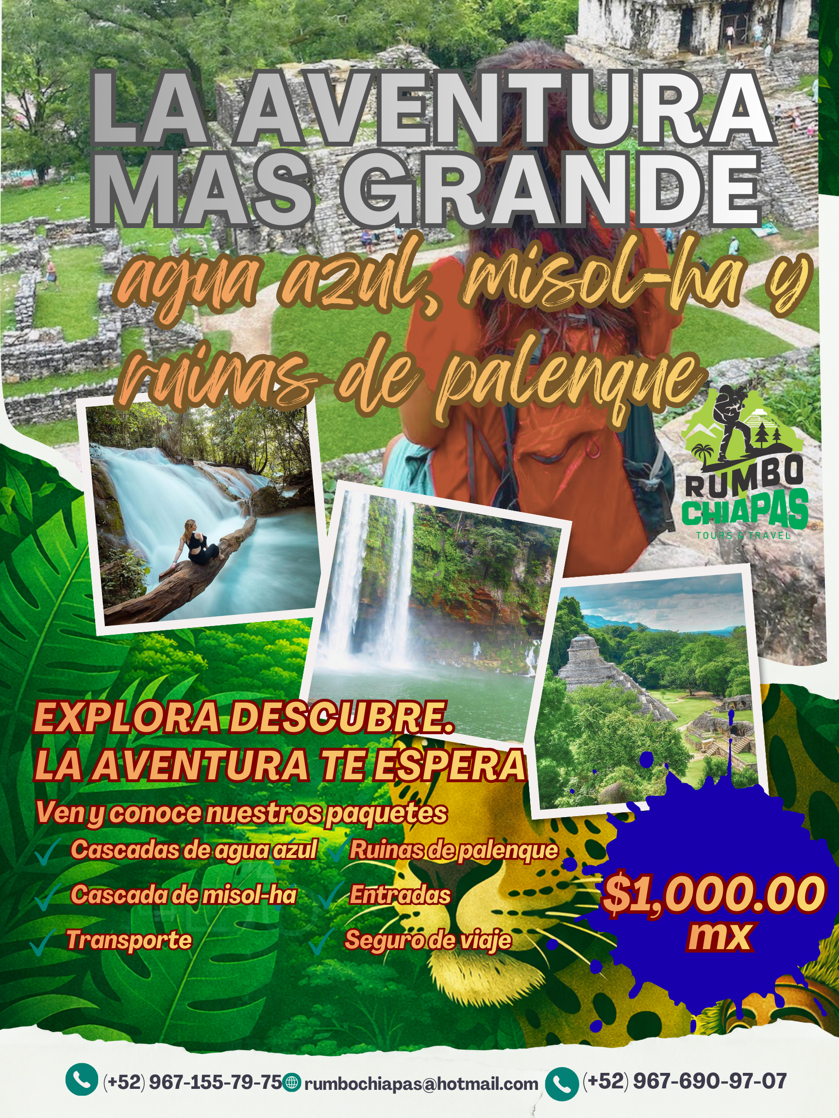 Experiencia Chiapas 2